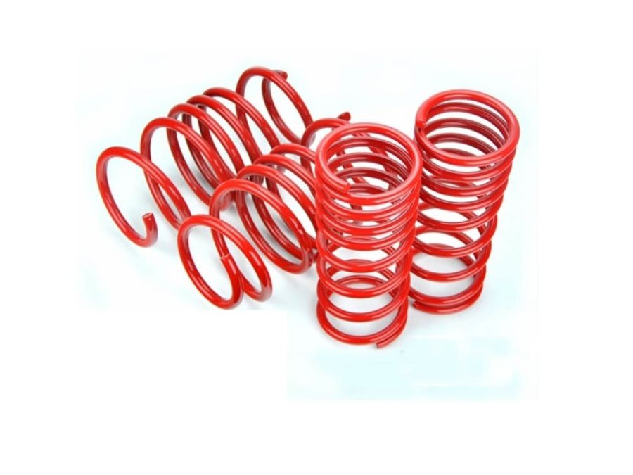 V-Maxx Lowering Springs for Nissan Leaf